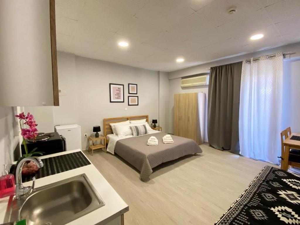 Dima And Apartment Athens